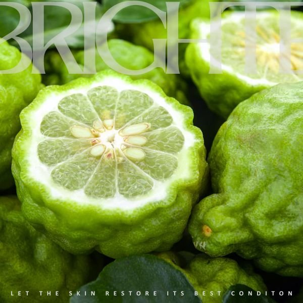 Bergamot FCF Essential Oil (Bergapten-Free)