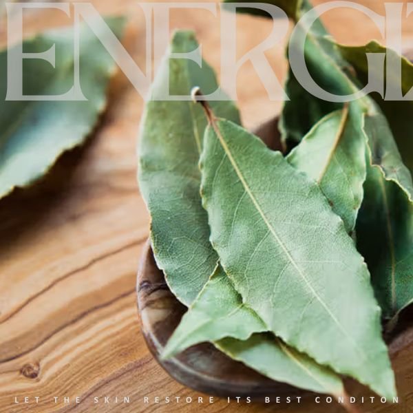 Bay Laurel Leaf Essential Oil