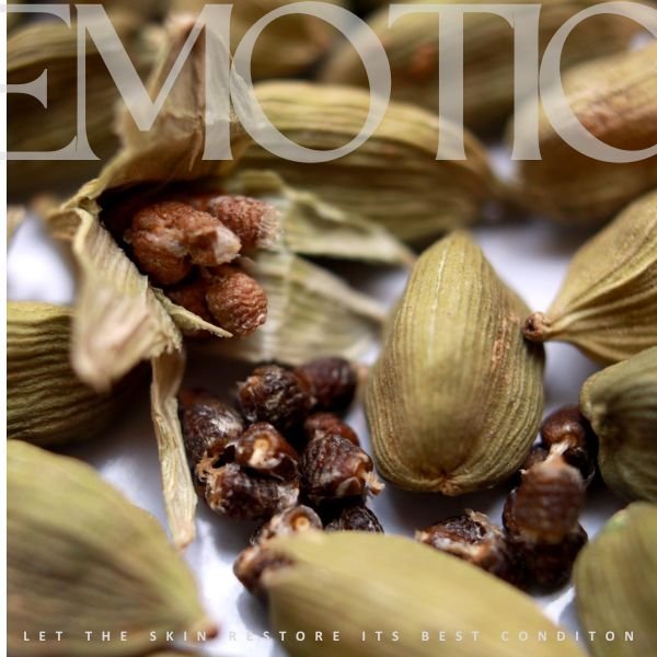 Cardamom Essential Oil