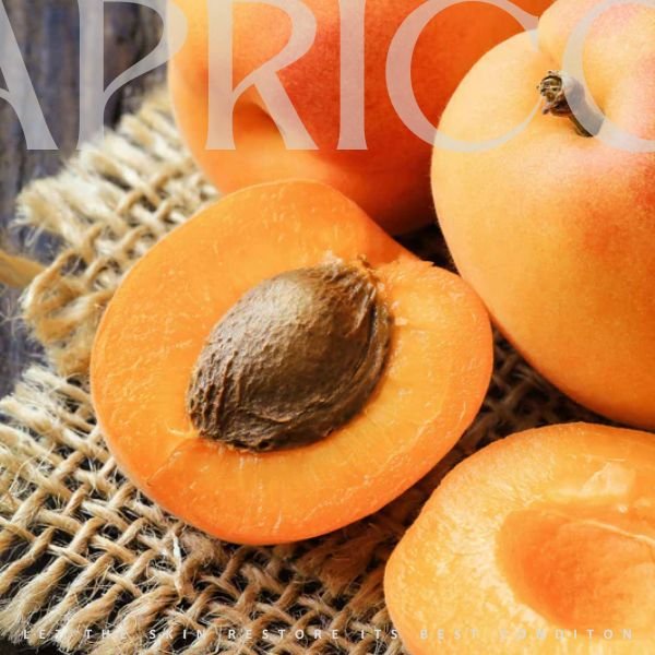 Apricot Kernel Carrier Oil